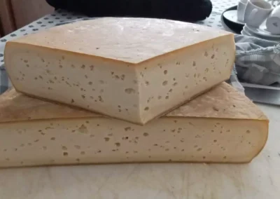 Formaggi