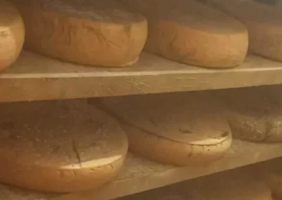 Formaggi