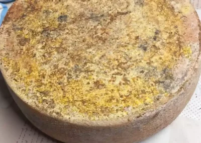 Formaggio rotondo visto dall'alto