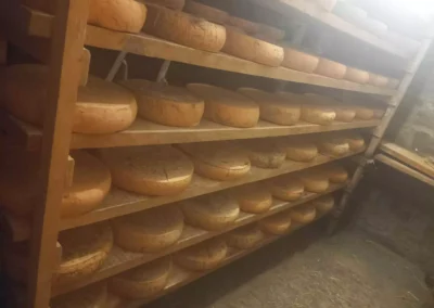 Formaggi in magazzino